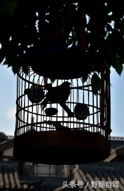 房车自驾阆中古城游玩攻略,野鹅自驾霞云岭