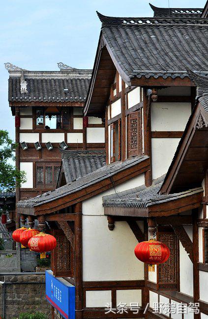 新疆野鹅自驾游视频,野鹅圣诞节自驾游