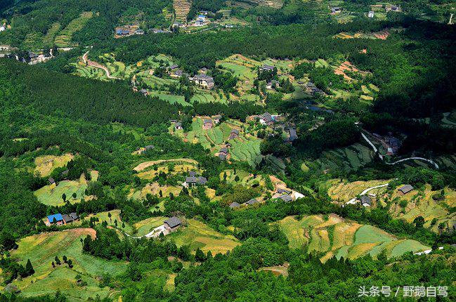 新疆野鹅自驾游视频,野鹅圣诞节自驾游