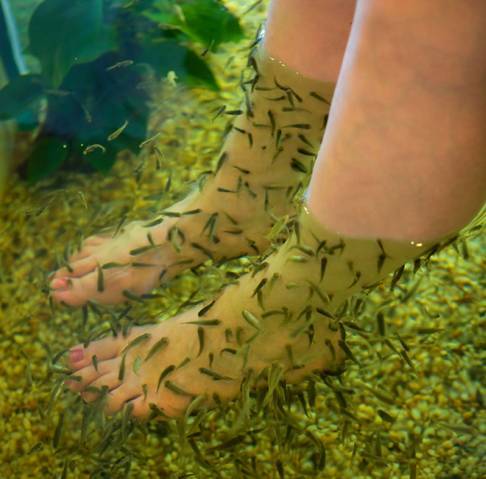 冬季暖心之旅，快来泡我吧！——京津冀21处泡温泉的好地方