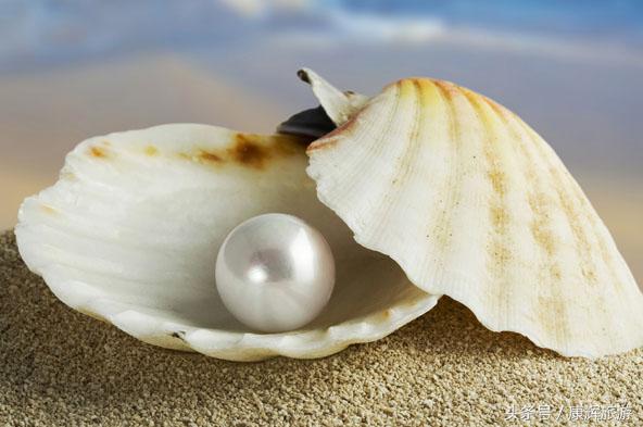 三亚有什么特产值得买,三亚特产有哪些值得买