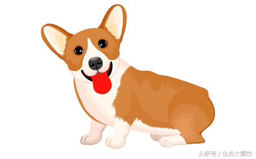 犯太岁害太岁冲太岁,鸡年轮到谁?