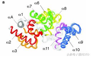 长期吃蛋粉有副作用吗,吃了蛋粉不能吃什么食物