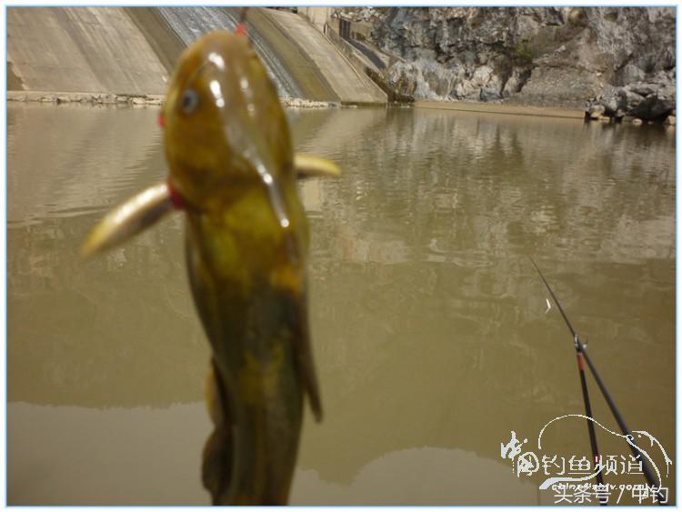 虎岭钓鱼路亚,虎岭钓鱼场