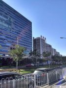 小米4c手机测试,小米4c高配版测评