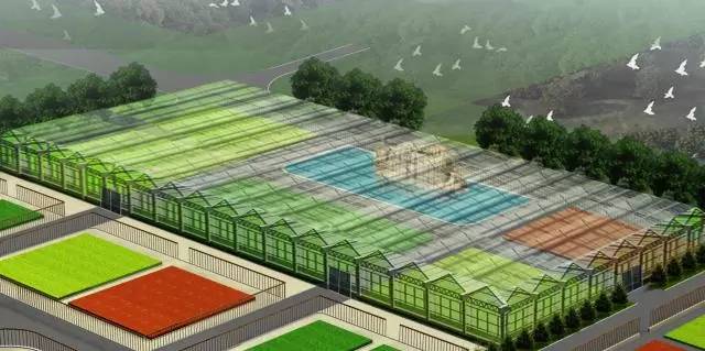 新建体育公园篮球场,体育公园新建篮球场