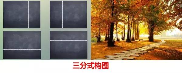 成都西部银杏第一村 (成都市周边哪里的银杏最多最美)