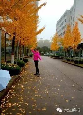 「围观」赶紧去九华山路看看吧！别人早就去过了！