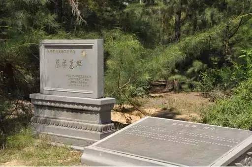 「头条」大咖在三亚实地走访、体验、调研的七条路线，都在这了！