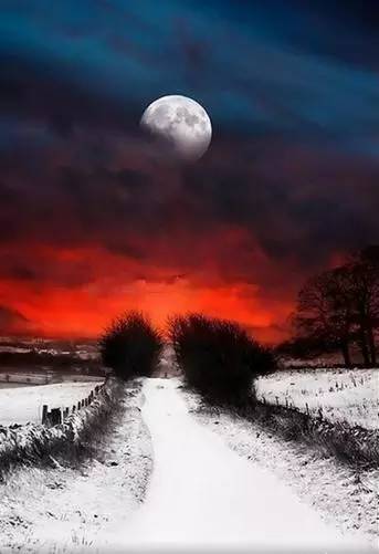 「诗词鉴赏」看冬日圆月赏最美诗词