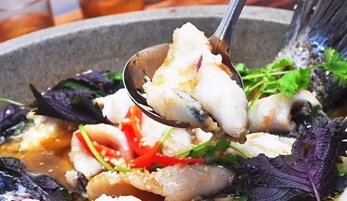 这几条千岛湖来的鱼厉害了，要在浦江干一番大事！