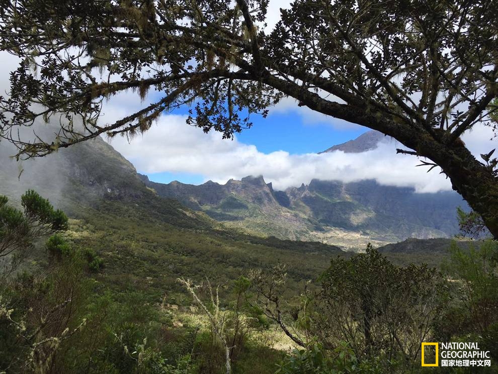 香草之岛留尼汪，上帝私藏在印度洋的小盆景！
