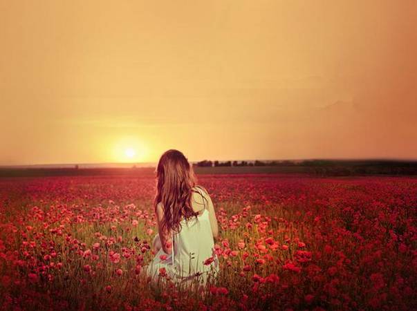 郑州最贵的五件东西,郑州什么东西最值钱又好看