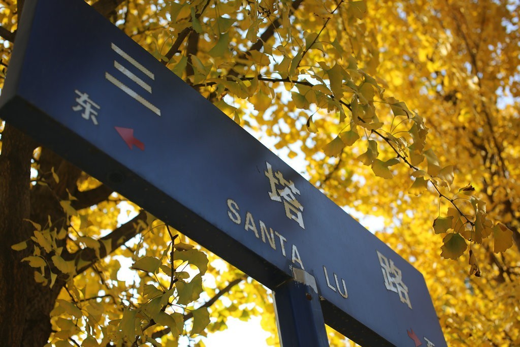 时已立冬,浙些美景再错过就要等明年了!