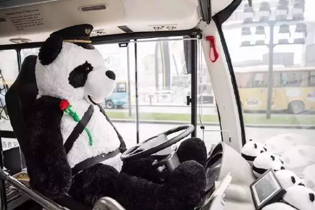 四川大熊猫栖息地在哪个位置,3分钟了解四川大熊猫栖息地