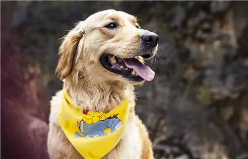 活动回顾｜欧帝亿主题巴士回顾--畅游幽谷神潭