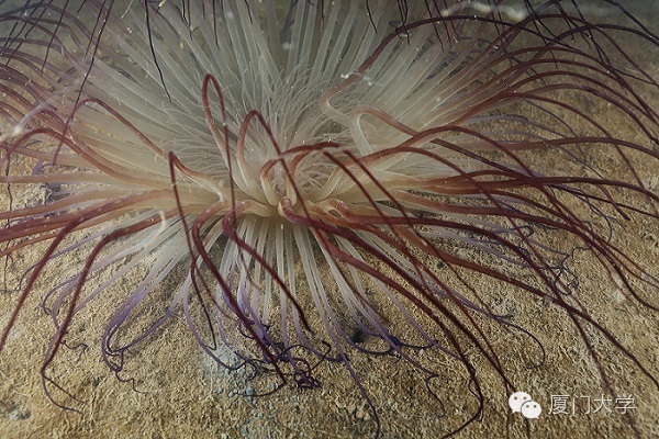 特色课程游泳课内容,隐藏的体育课