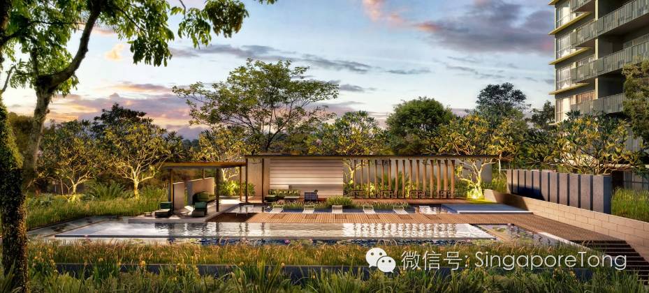 萝卜评价世界杯,萝卜评价丁俊晖