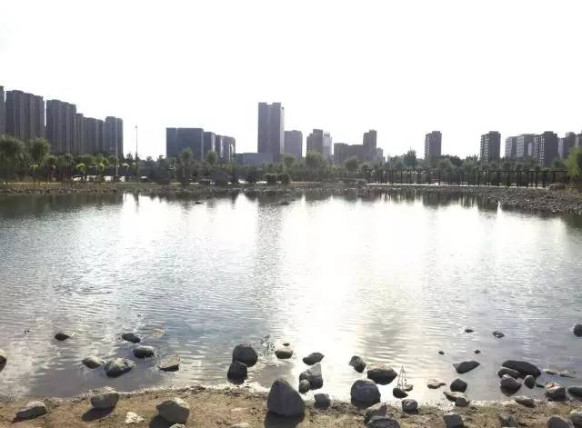 包头市新建体育公园,包头体育公园开始建了吗