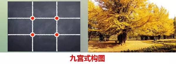 成都西部银杏第一村 (成都市周边哪里的银杏最多最美)