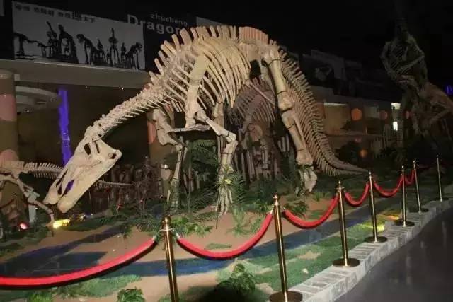 青岛城事,青岛地铁全城通一日票