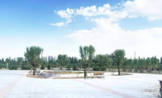 包头城建大项目,包头市新建公园