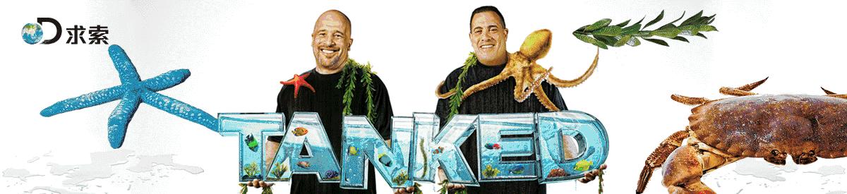 双11是一个阴谋，我们都是帮凶