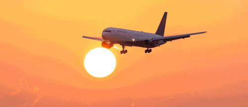 新西兰有扫码支付吗,在新西兰消费要给小费吗