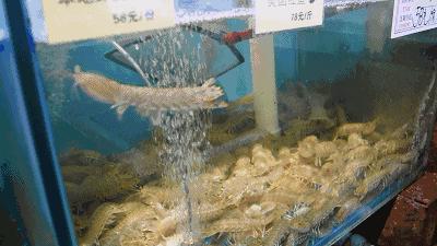 不得了！曾经征服过普京大大的美食，轰动了整条香港路！