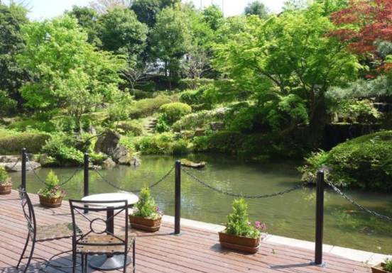 实力干货：日本·成田机场·转机攻略，这一篇足够了！