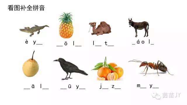 一年级拼音补充完整练习题,一年级汉语拼音复习完整版