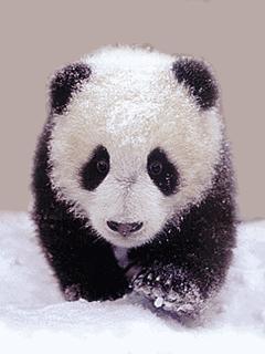 最近还会流行什么样的网名,今年最流行好听网名星空俩字