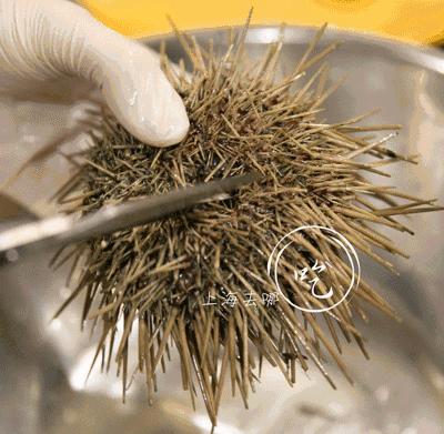 上海最好的十家日料放题店,日料放题店推荐