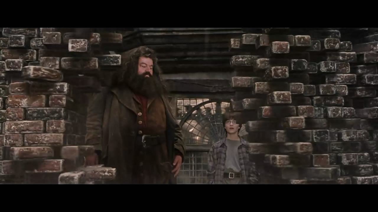 你还记得那颗干鼻屎味道的多味豆吗