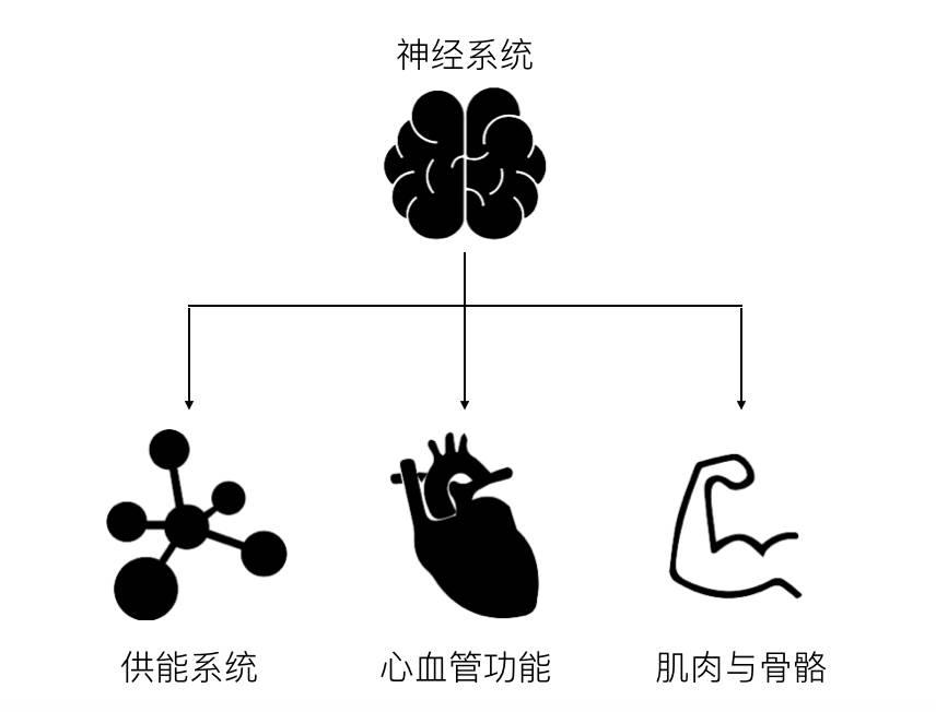 大学生体测两周提升1000米计划,体测1000米怎么提高成绩