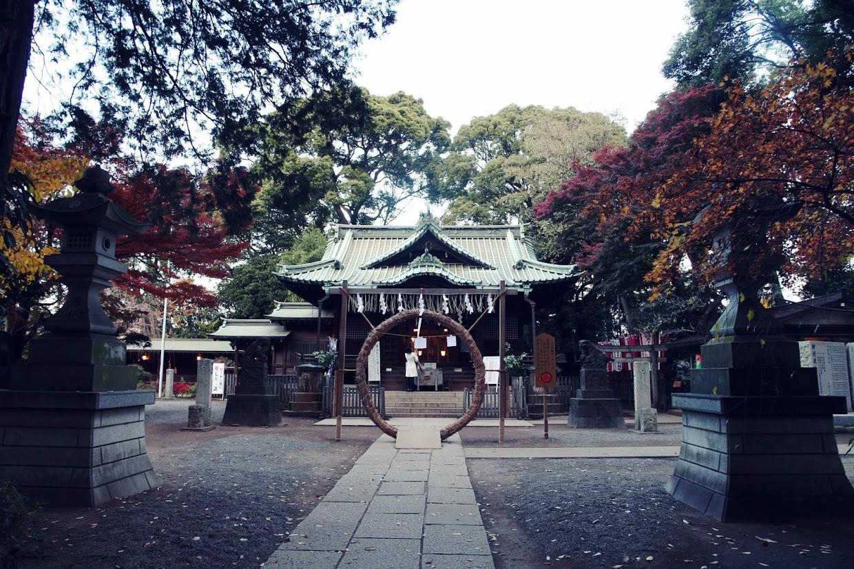 手绘旅行日记,手绘研学旅游日记