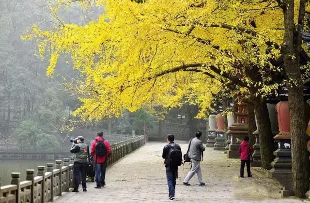 宁波天童禅寺睡佛,宁波天童寺庙里