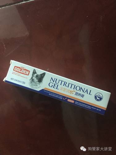 金毛从成年开始养,金毛养成