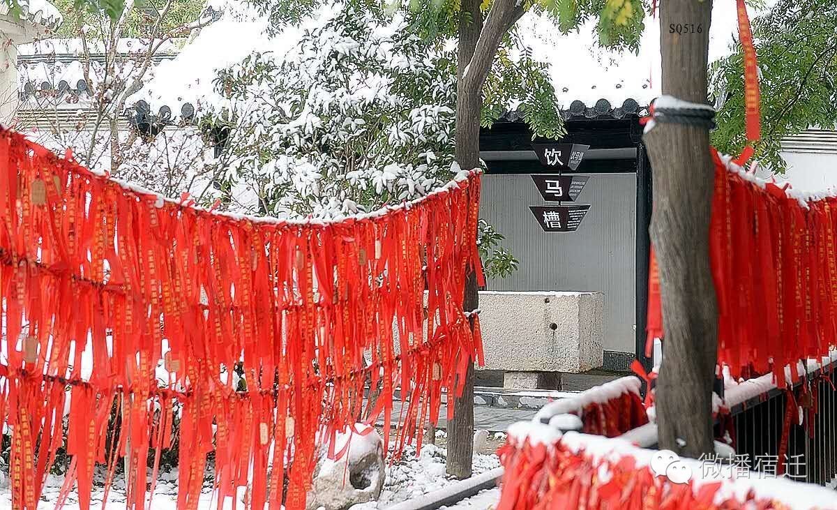 雪中宿迁，素颜都美到窒息！