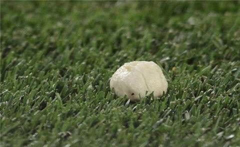 閭ｄ簺骞磋鎵旂殑涓滆タ,閭ｄ簺骞村啿杩涚悆鍦虹殑鐞冭糠