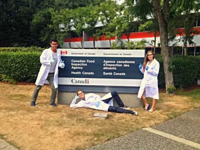 傲娇,加拿*奶大**粉才是世界上最安全的,没有之一