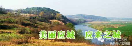 应来之城全景图片,中国湖北应城