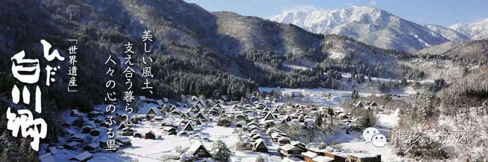 这个冬天我们一起去日本看雪,去日本看雪景哪个地方好