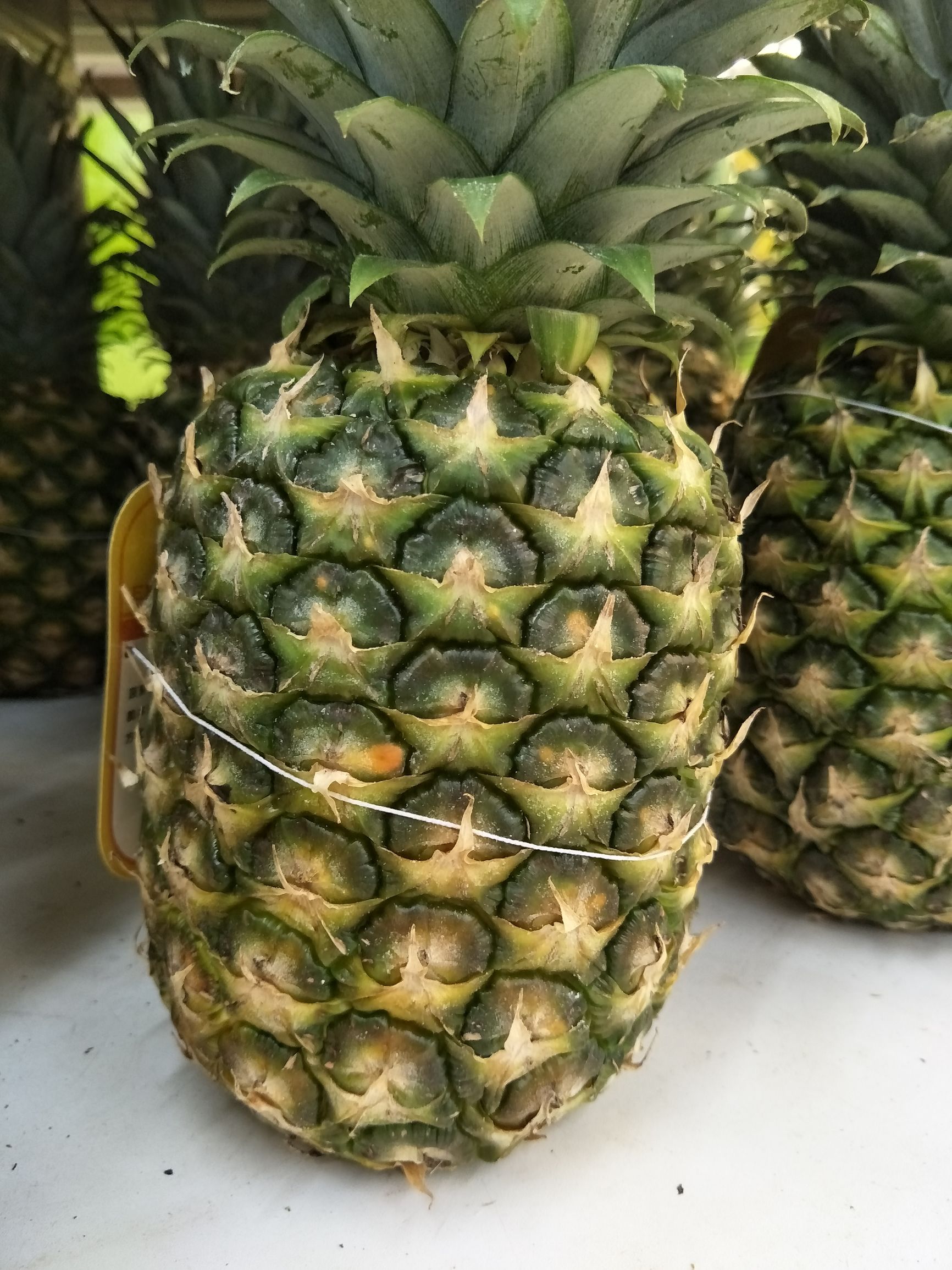 opporeno6pro+值不值得入手,oppofindn值不值得买