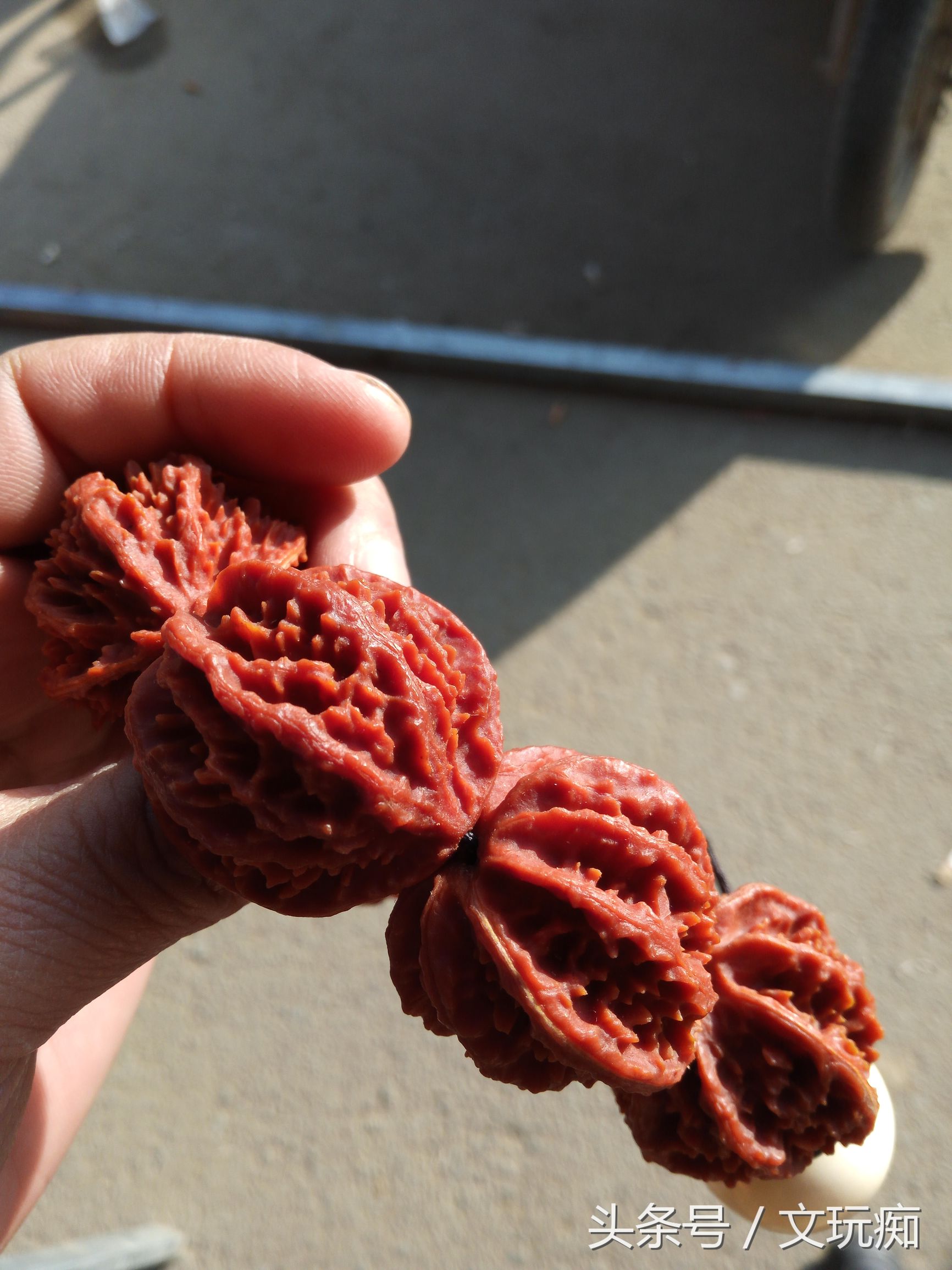 文玩核桃蛤蟆头手串,文玩市场淘核桃手串