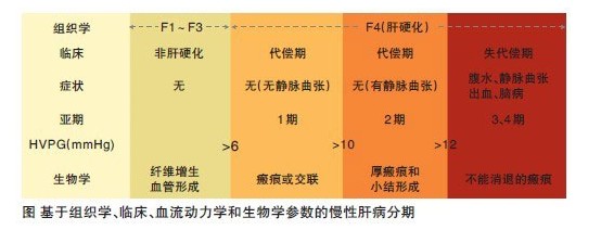 肝硬化形态学分类,肝硬化最新诊疗指南参考文献