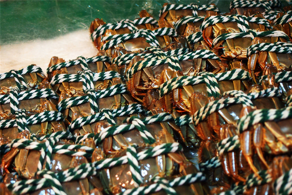 在第二个夏日赴一场海鲜的约会