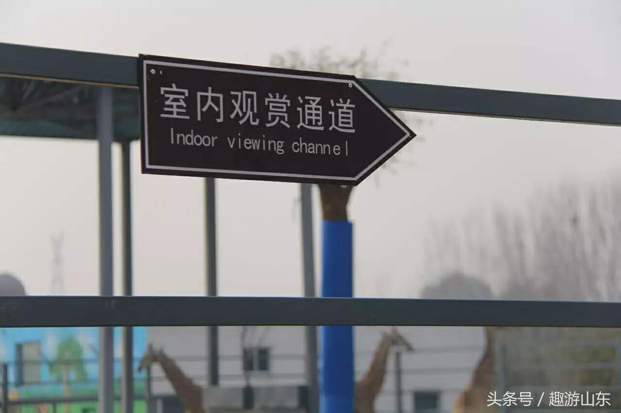 德州生态动物园,德州动物园布局