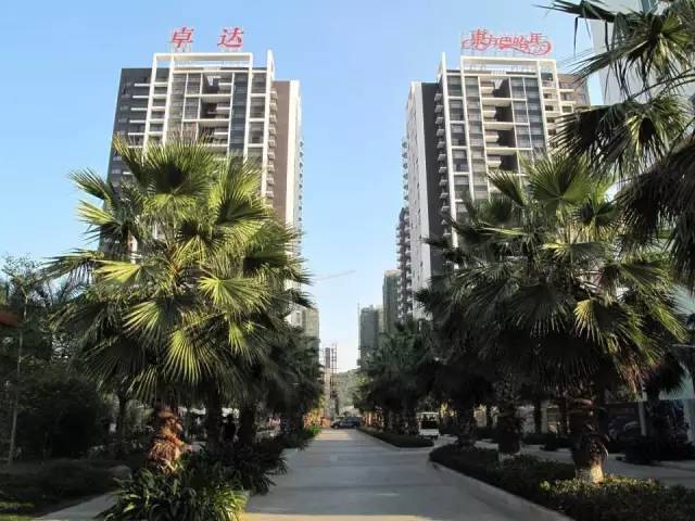 三亚卓达东方巴哈马小区地图,三亚性价比高的房子100平三房两厅