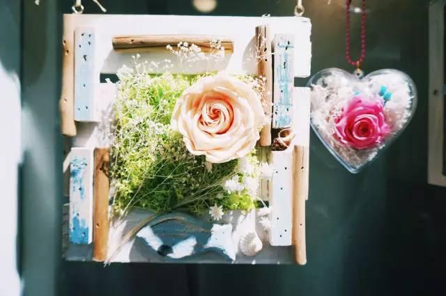 是日新店丨伊甸巡礼手工坊，1元体验活动等你来